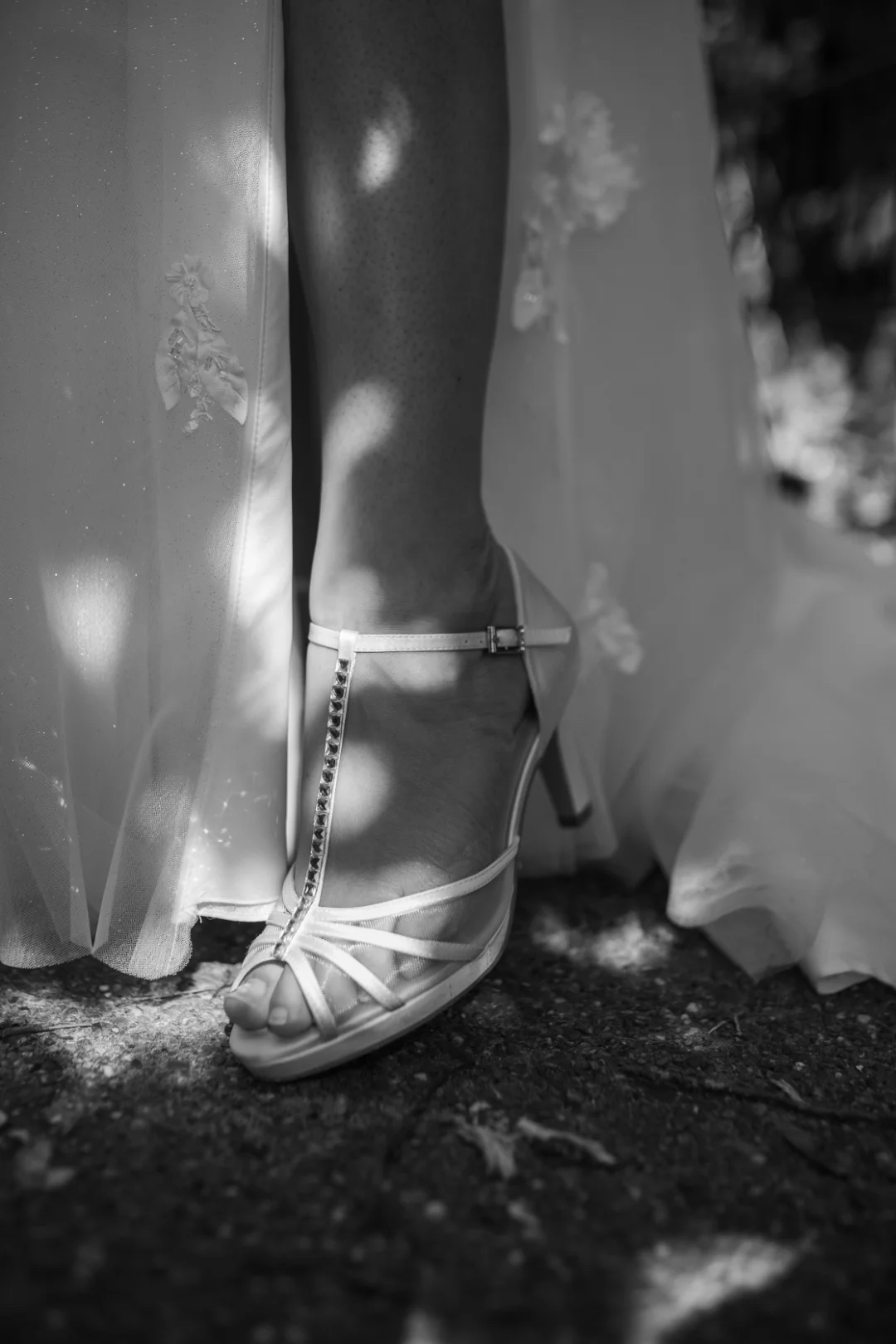 Steve Photography – JPEG Bild 168